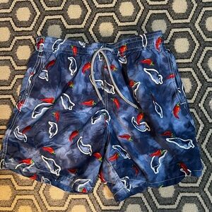 Vilebrequin Bathing Suit XL